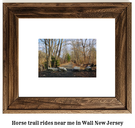 horse trail rides near me in Wall, New Jersey